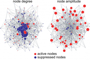 A complex network in which 75% of the nodes have been suppressed. (Left) Circle size indicates node degree. Hub nodes in the center are essential to maintaining network integrity. (Right) Circle size indicates oscillation amplitude. Peripheral low-degree nodes are highly important in maintaining network activity. Figures prepared using Pajek. c Gouhei Tanaka.