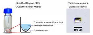 Figure 2: Summary of the crystalline sponge method.