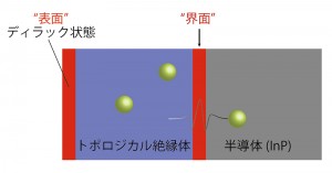 (c) R. Yoshimi, A. Tsukazaki, K. Kikutake, J. G. Chckelsky, K. S. Takahashi, M. Kawasaki, Y. Tokura. トポロジカル絶縁体と、真空との境界である「表面」や半導体のような固体との「界面」にはディラック状態と呼ばれる特殊な金属状態（図中赤枠）が現れる。電子（図中緑球）の界面でのトンネル電流を測定することで、ディラック状態を検出した。
