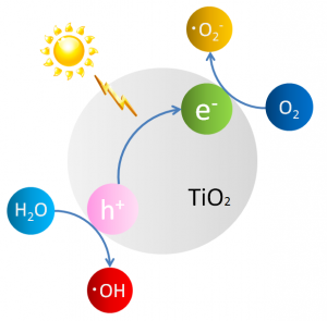 Figure 1: Production of active oxygen by photocatalysis.