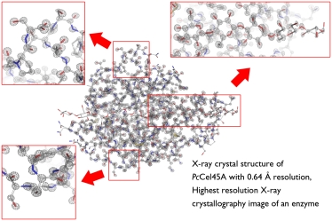 X-ray crystal structure of a cellulose-degrading enzyme (cellulase)