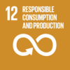 SDG12 Ensure sustainable consumption and production patterns