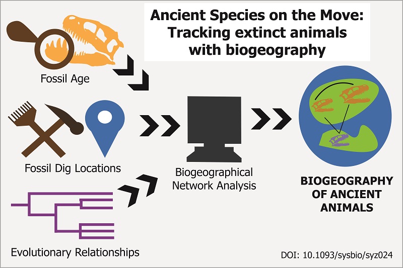 Cartoon schematic of the biogeographical analysis process.