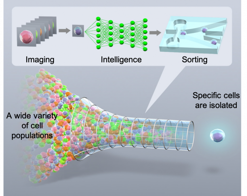 Overview of the Intelligent Image-Activated Cell Sorter