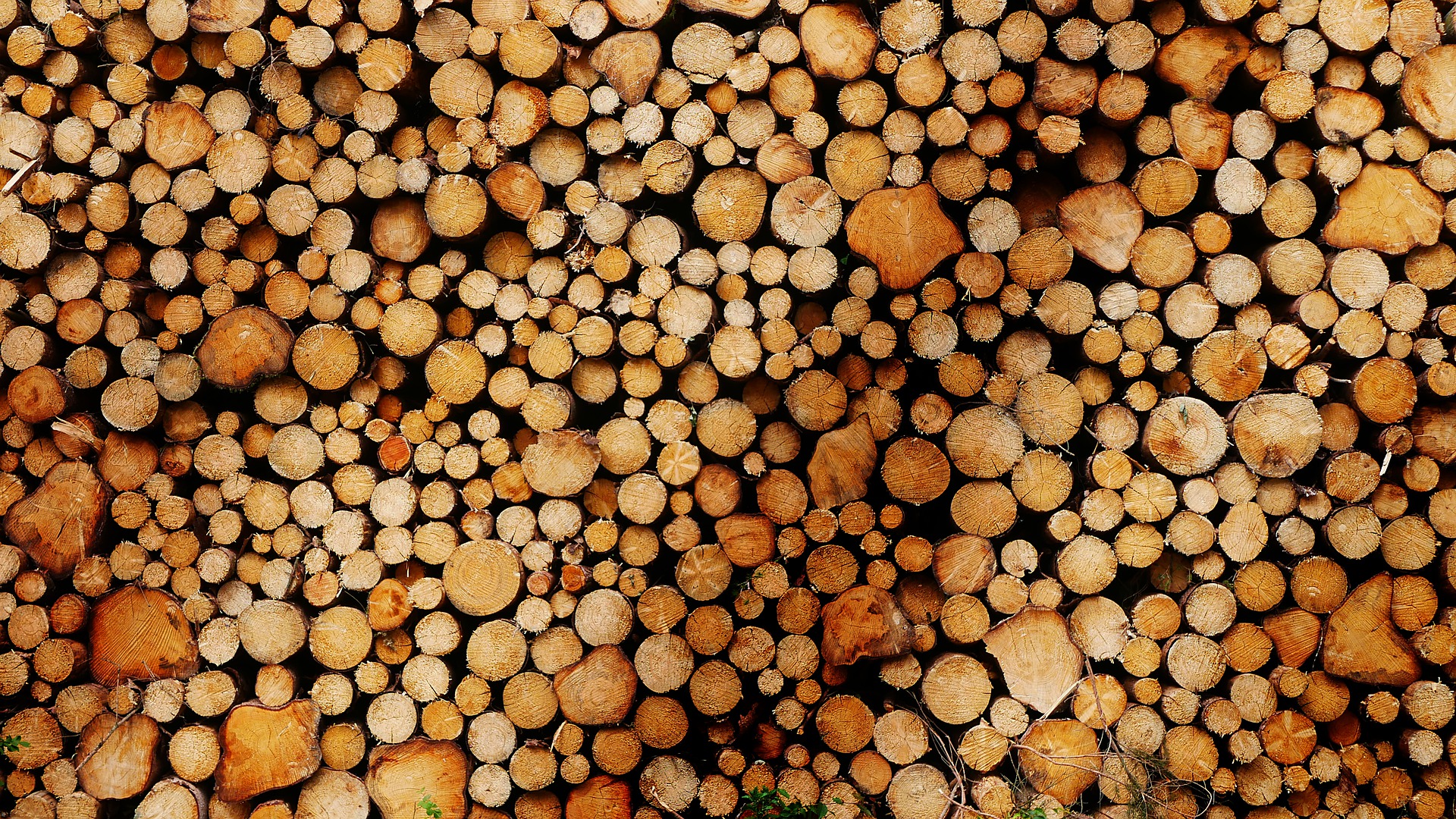 A pile of logs