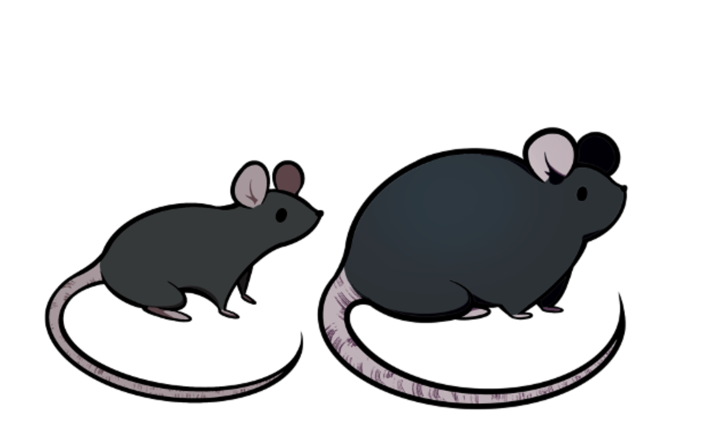 Illustration of two mice, representing a typical and ob/ob mouse.