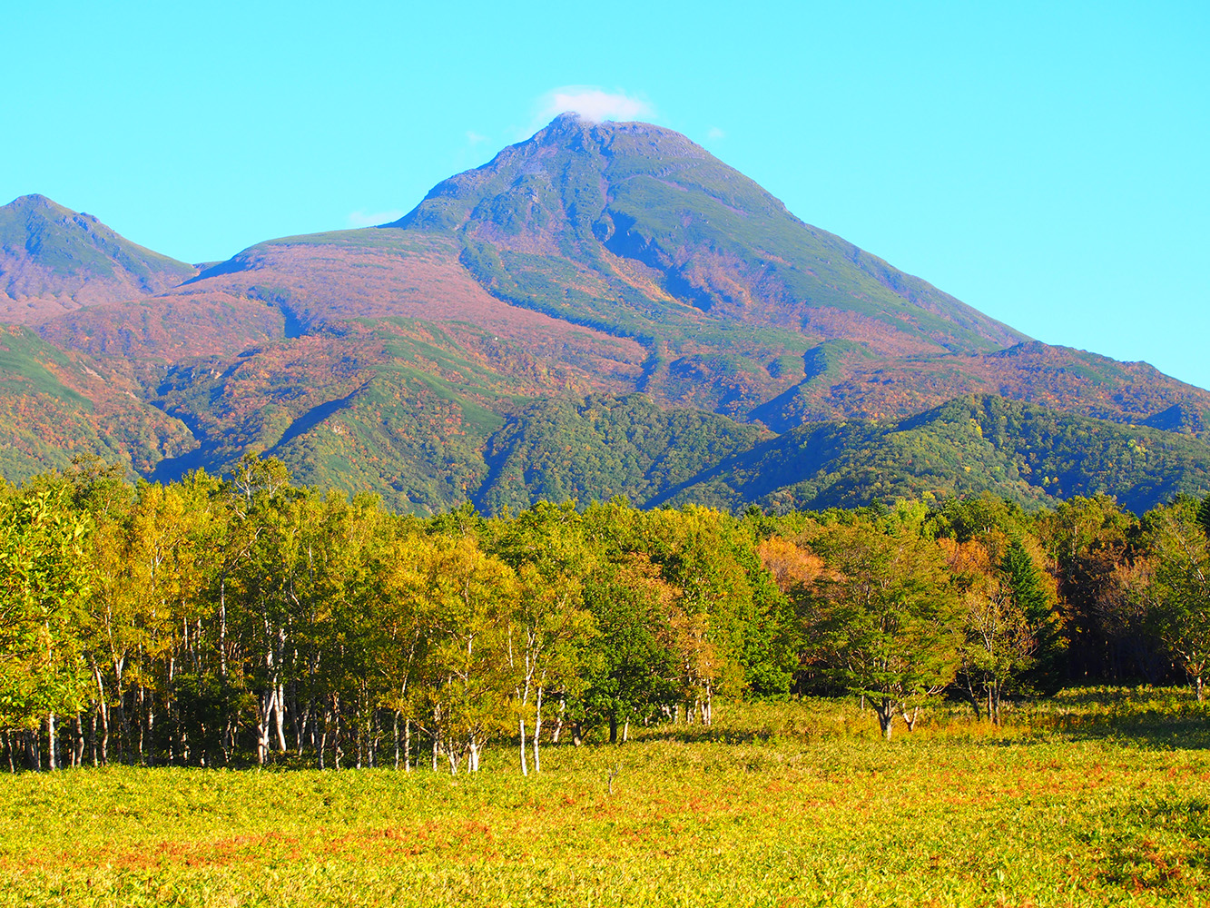 Photograph of a mountain, forest and grassland in Shiretoko National Park, taken by one of the researchers on a bright blue day.