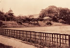 運動場