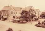法文化大学