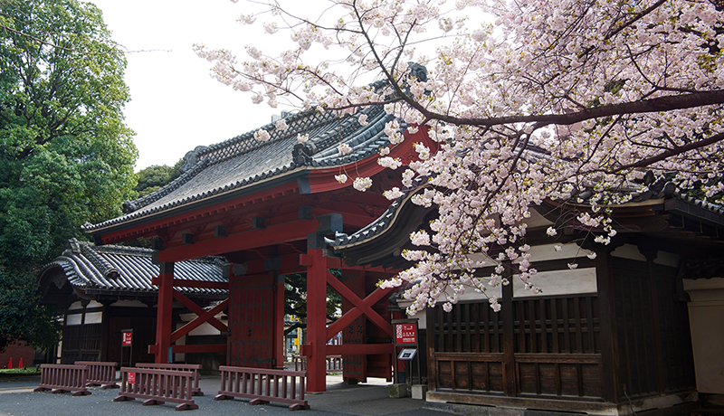 東京大学