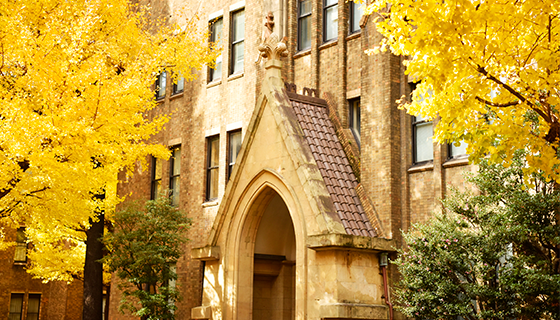 東京大学教育学部