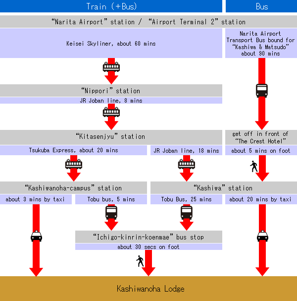 crossing-over map