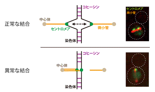 20110719_01