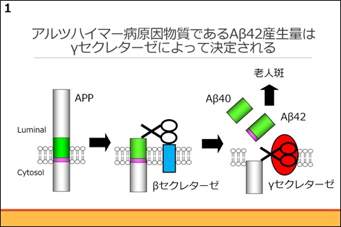 20130228_01