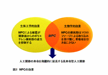 三次元解析による人口関節の磨耗の検討の図及び粒子の移植による骨吸収の検討の図