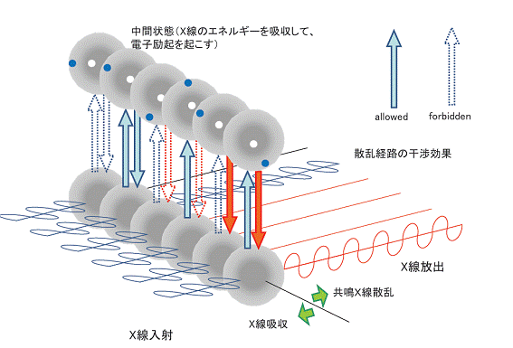 図1