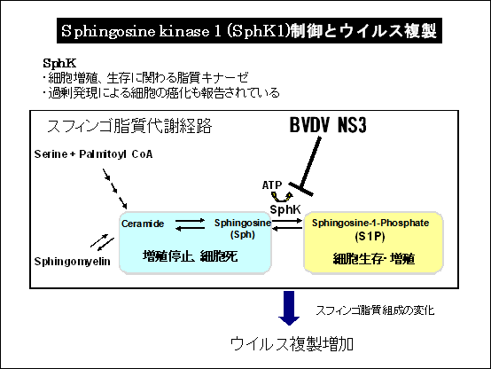 図1