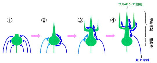 図1