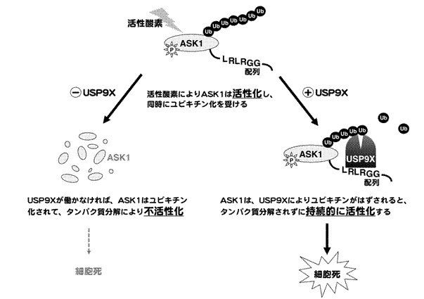 図