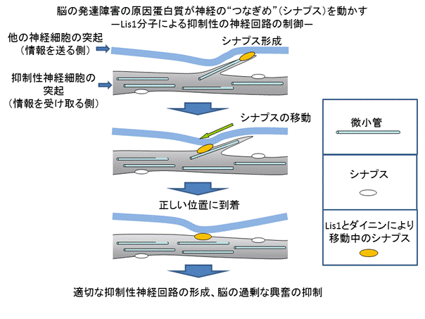 20120307_01