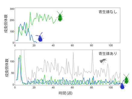 説明: C:\Home\Dropbox\PNASマメゾウ\dynamics.png