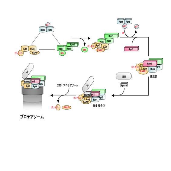 図