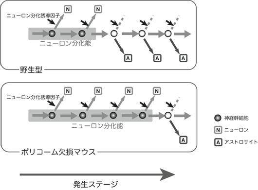 図2