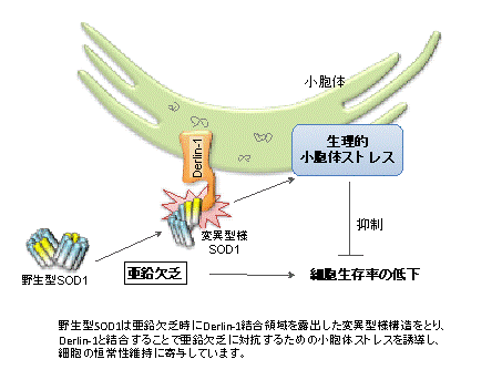 20130927_01