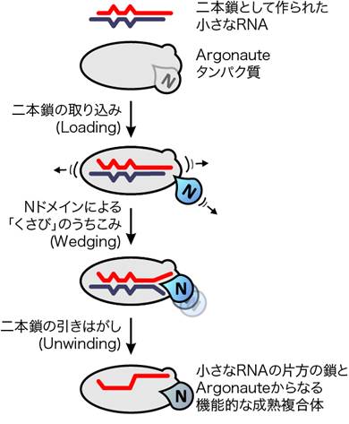 20120111_01