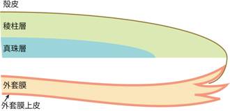 20120208_02