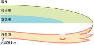 20120208_03