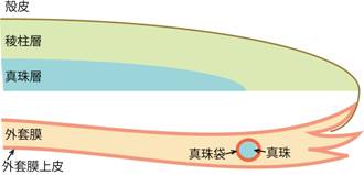 20120208_04