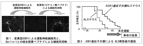 添付資料