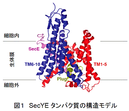 図1