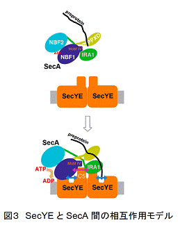 図3