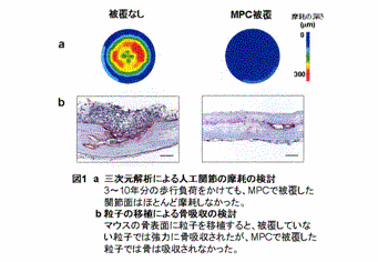 MPCの効果図