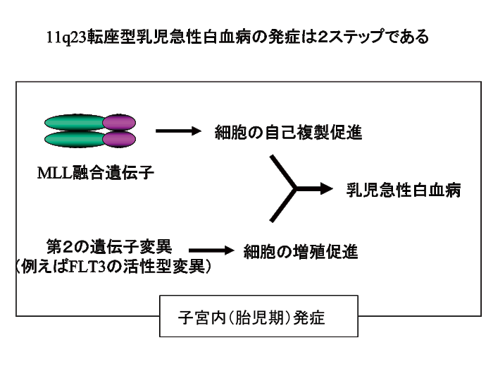 図