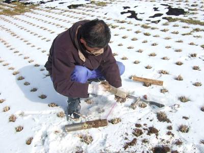 【写真】調査の様子