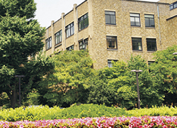 Faculty of Education 