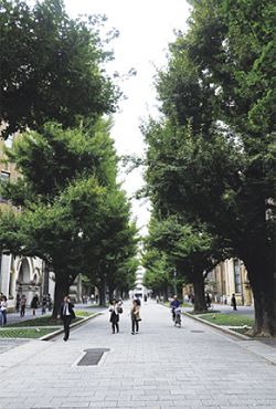 graduate school of education university of tokyo