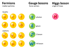 Standard model