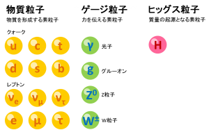 Standard model