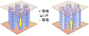 今回開発された強誘電性カラムナー液晶の、電場をかけた時の電気分極の応答メカニズム © Takuzo Aida