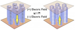 Schematic illustration of the electrical response of ferroelectrical columnar liquid crystal © Takuzo Aida