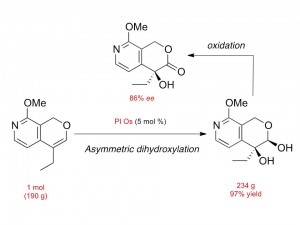 One mol-scale synthesis of an intermediate of the anticancer drug camptothecin using a new immobilized osmium catalyst (PI Os) © Sh? Kobayashi