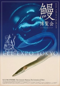 Poster for Eel Expo at the University Museum