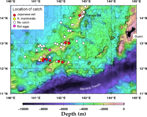 Topographical ocean floor map and egg sampling sites