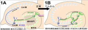 20121122_pharmaceutical-sciences_ja_full