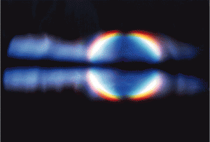 Fig6_cover