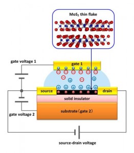Device structure used in the present study © Iwasa Laboratory